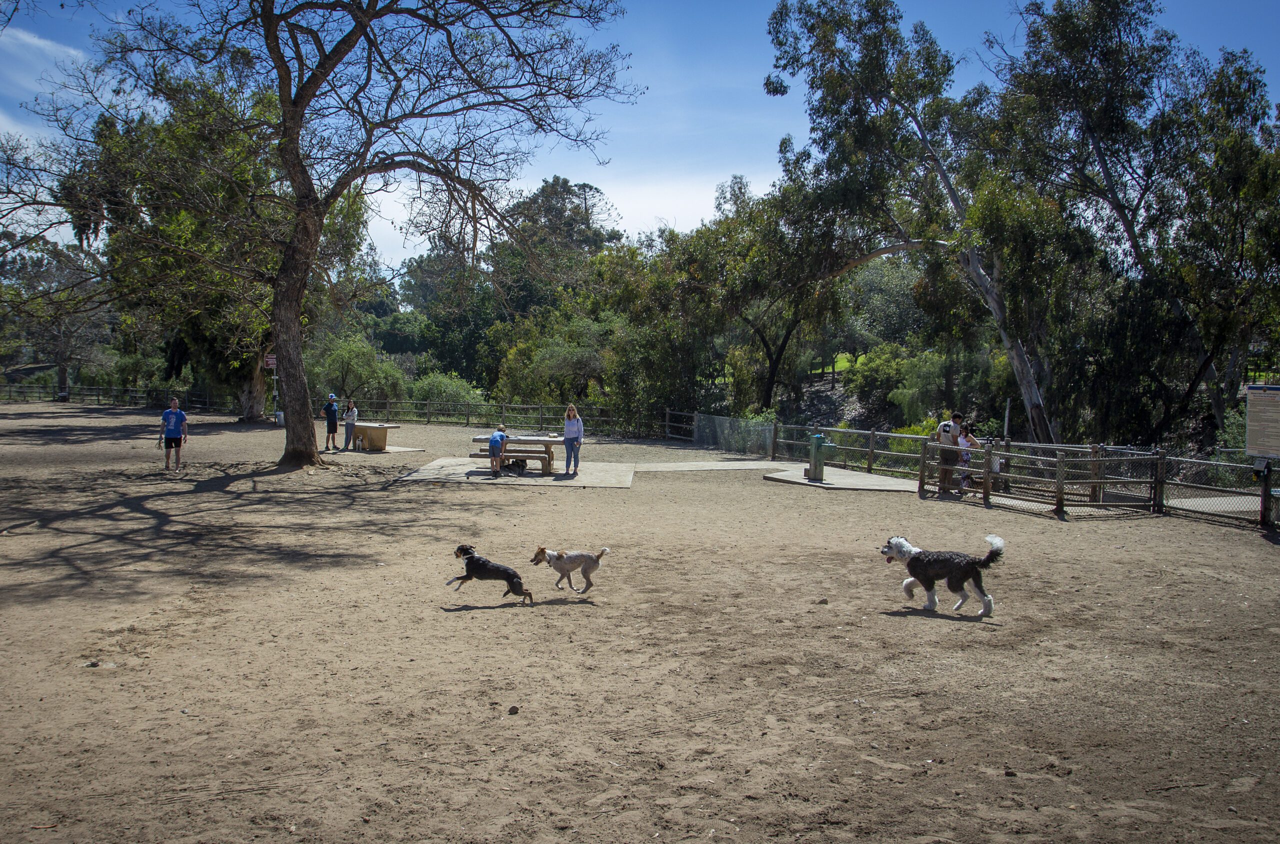 Love's Dog Parks