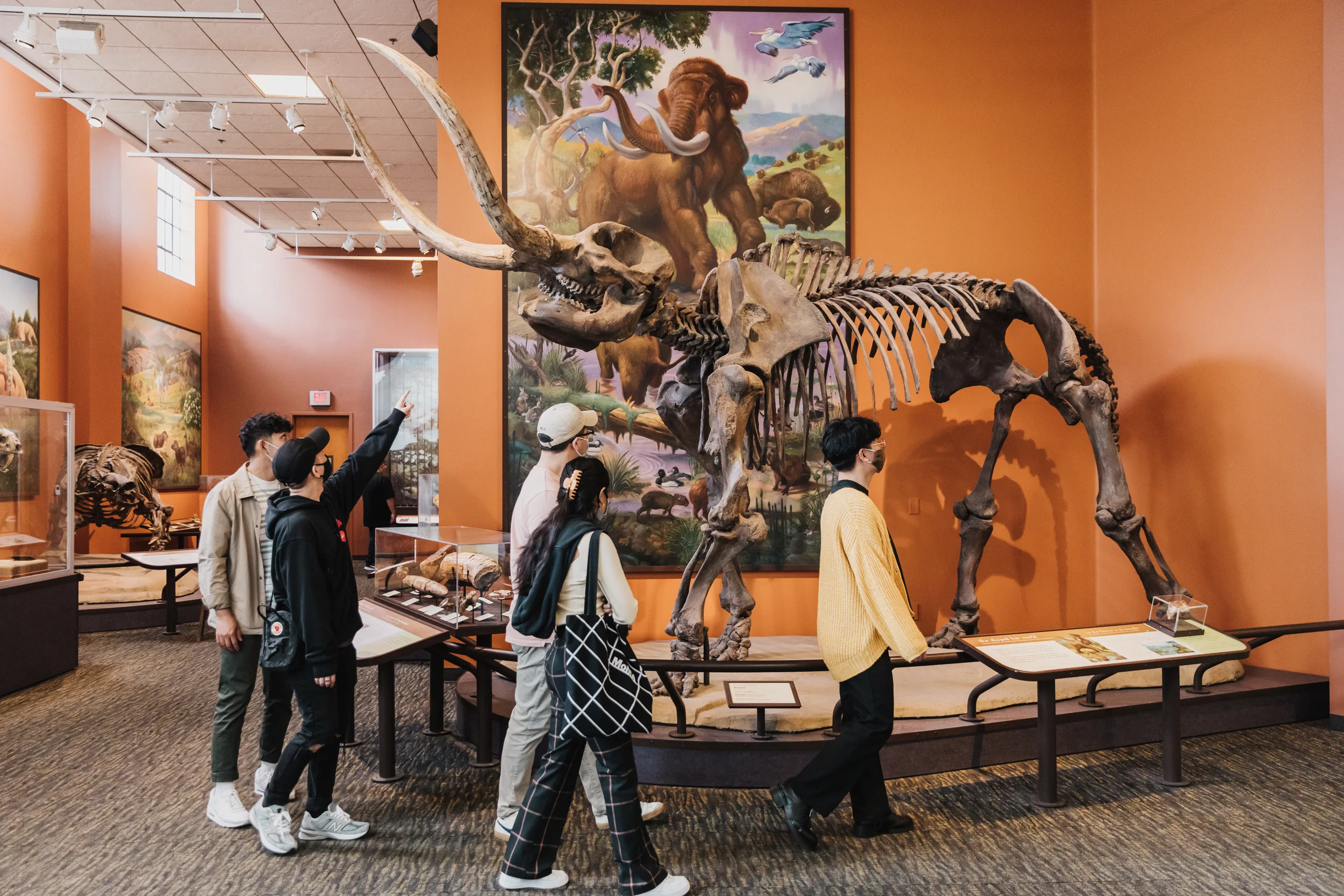 A group of diverse aged adults looking at a mammoth fossil display at the San Diego Museum of Natural History.