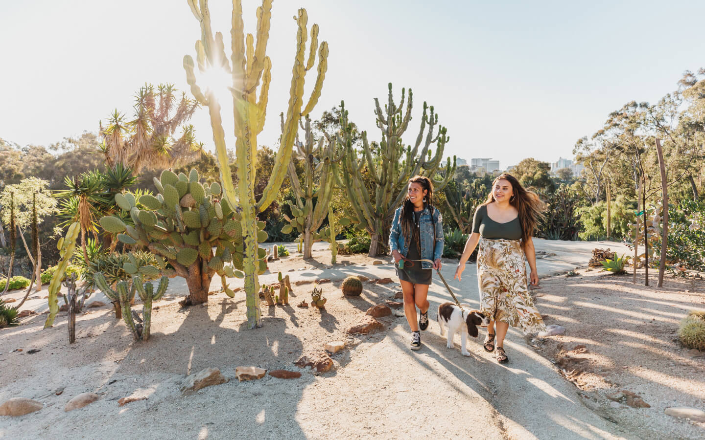 Two young adults with long brown hair walking a brown and white dog in the Balboa Park Cactus Garden.