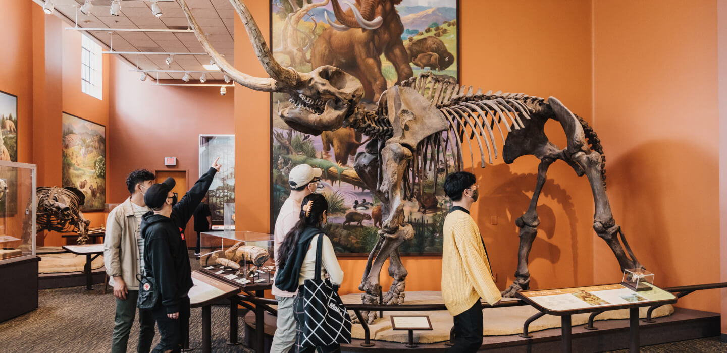 A group of diverse aged adults looking at a mammoth fossil display at the San Diego Museum of Natural History.