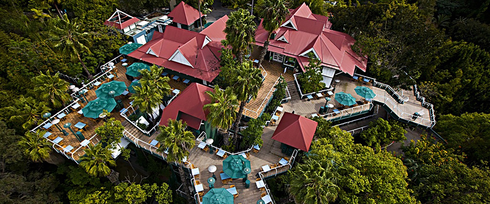 An arial view Albert's Restaurant at the San Diego Zoo. The restaurant has a red roof and is surrounded by a wooden deck with tables and teal colored umbrellas.