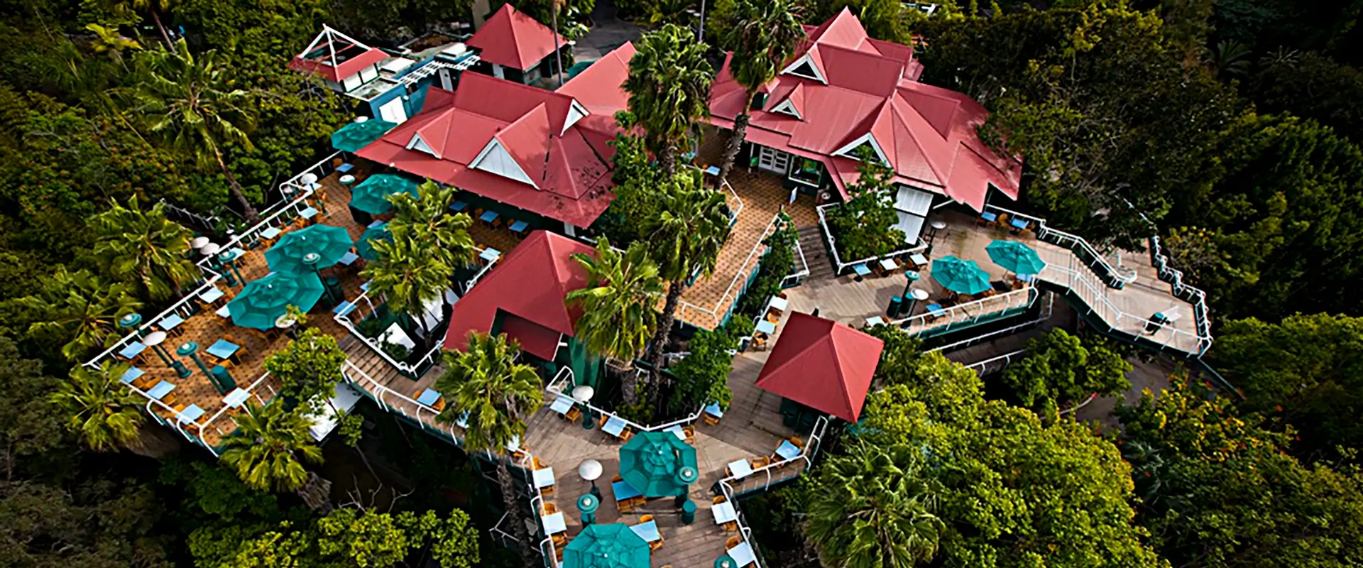 An arial view Albert's Restaurant at the San Diego Zoo. The restaurant has a red roof and is surrounded by a wooden deck with tables and teal colored umbrellas.