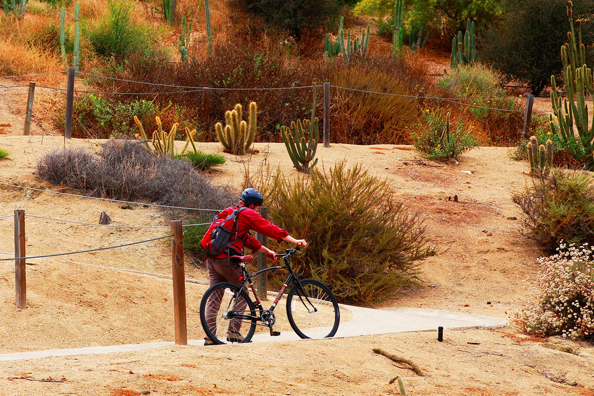 Balboa park mountain online bike trails