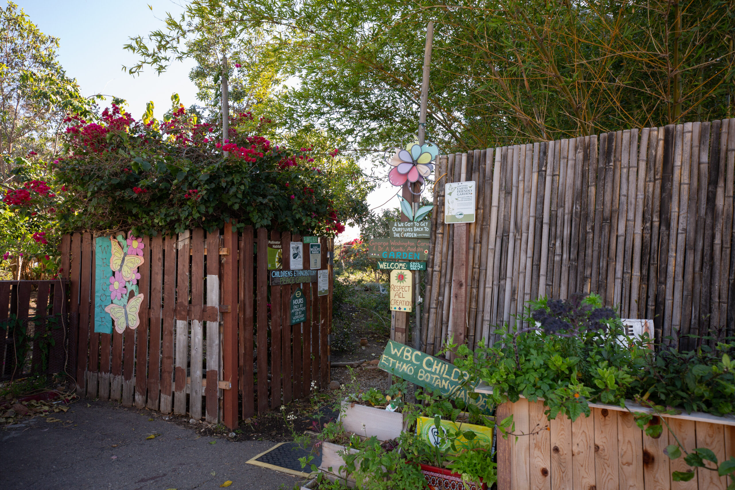 Wood fence entrance with colorful signs to the WorldBeat Center's Healing Peace garden.