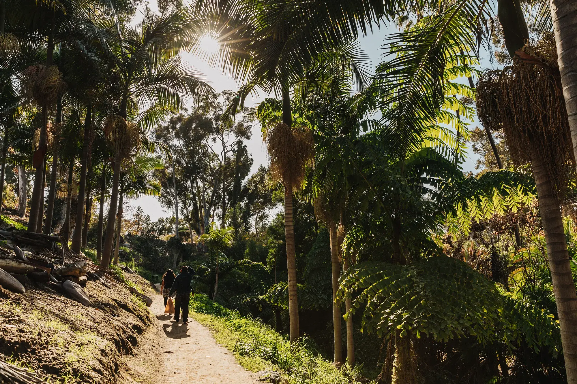 People walking on a path