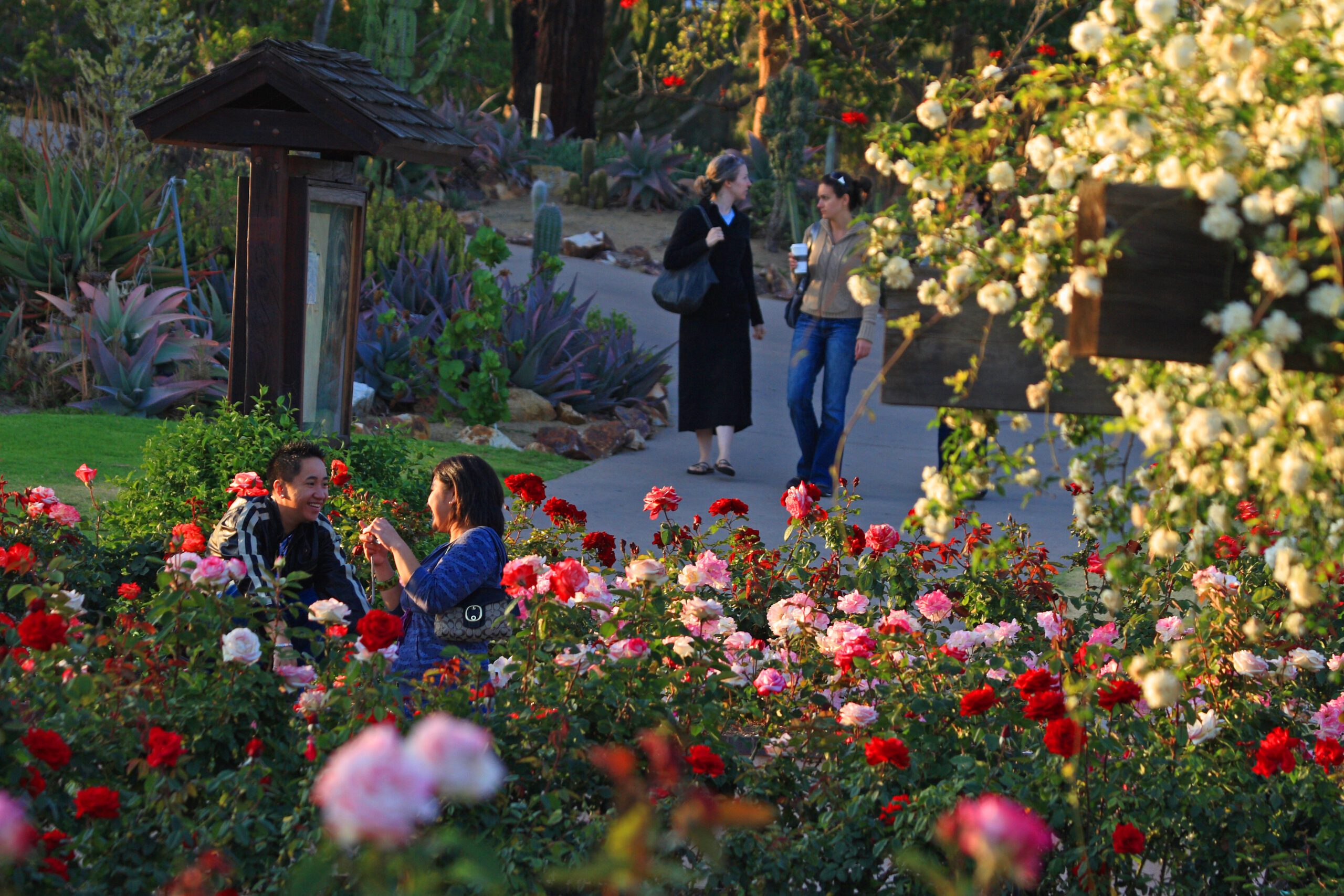 Inez Grant Parker Memorial Rose Garden - Balboa Park