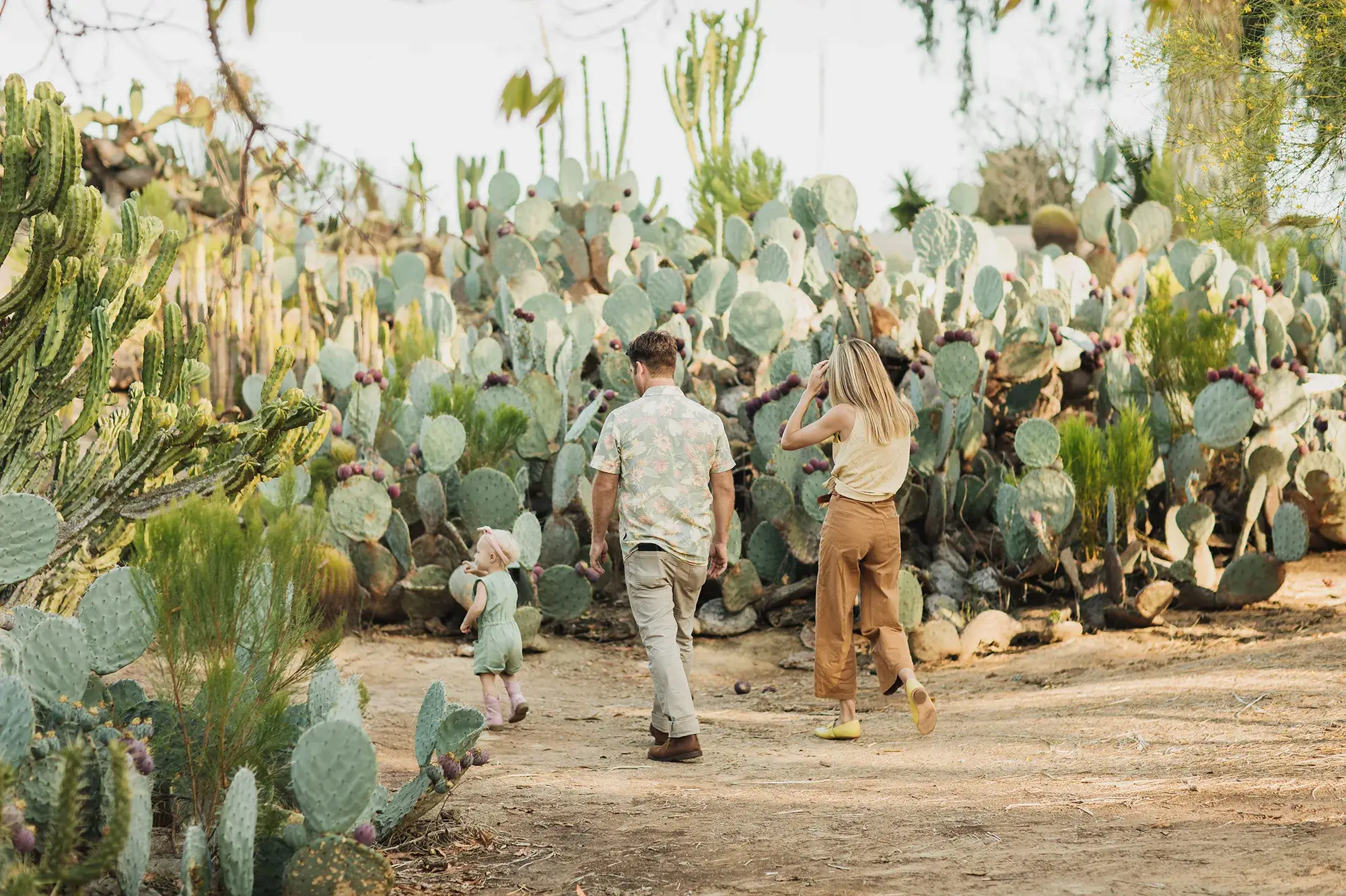 Two people walking with a child through a cactus garden