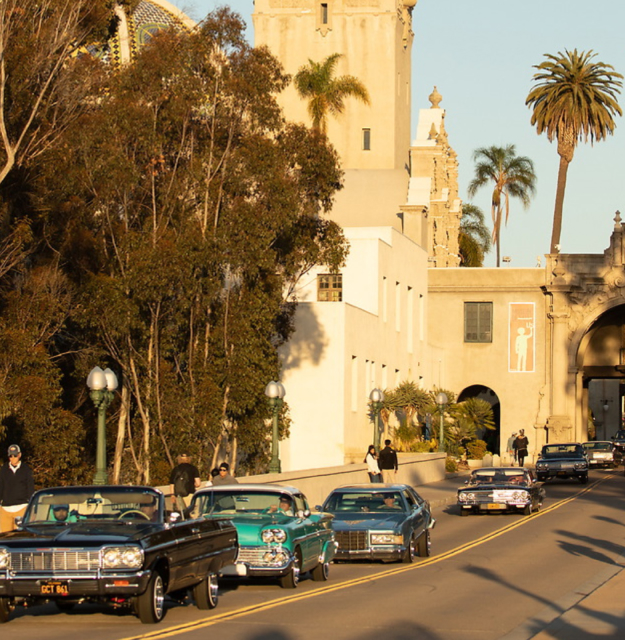 A line of six old classic cars driving passed the California Tower at the Museum of Us down Cabrillo bridge.