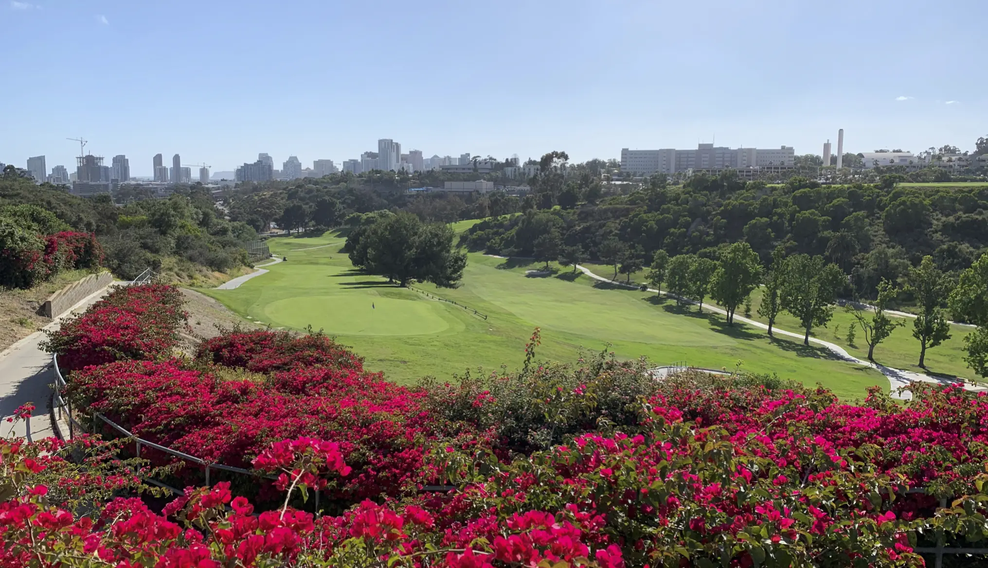 A panoramic view of the Balboa Park golf course with red flowers in the foregorund and downtown San Diego buildings in the background.