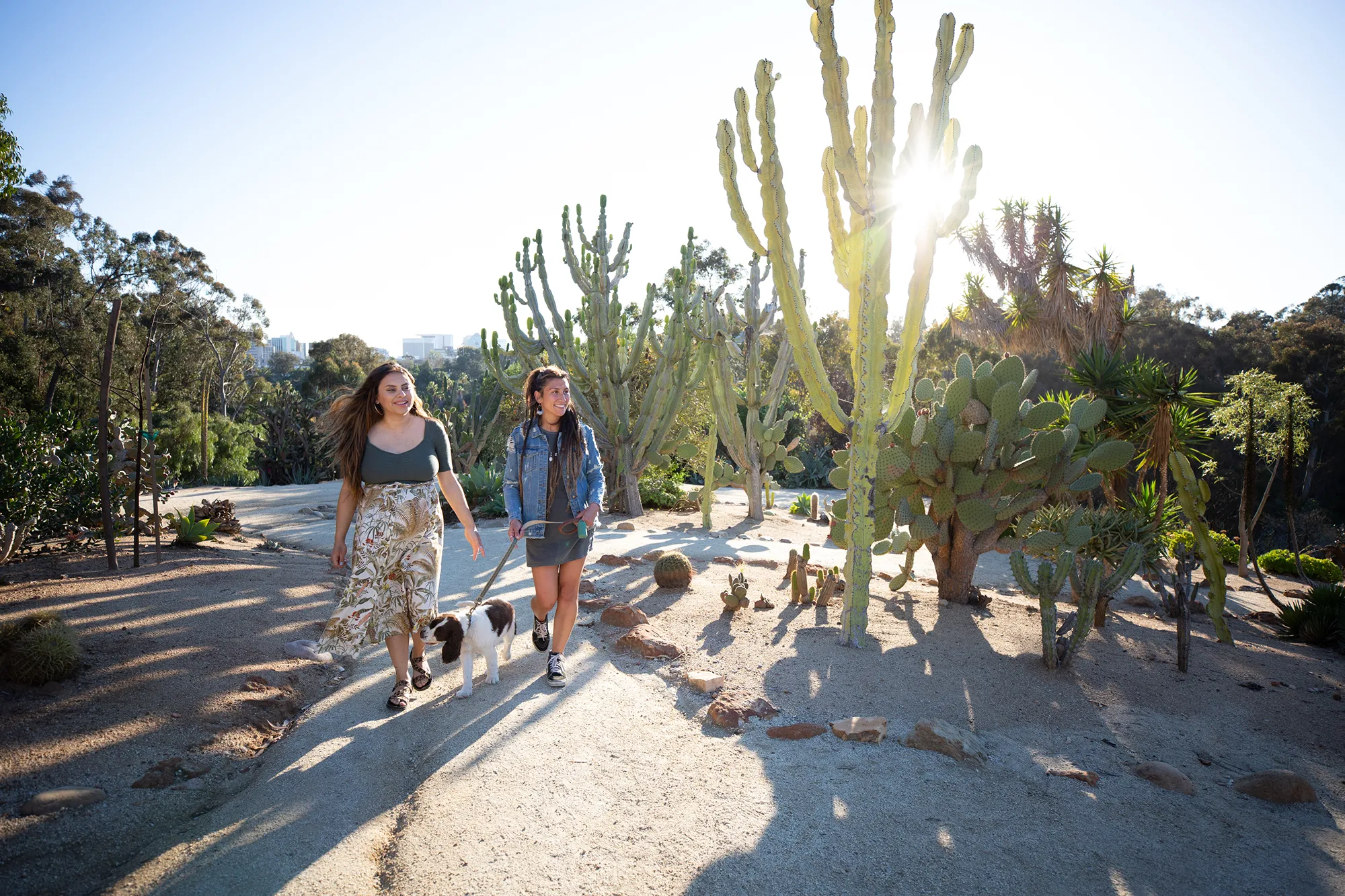 A young girl with brown hair and wearing a green and floral dress walking next to a young woman with brown hair walking a brown and white dog on a trail with cacti