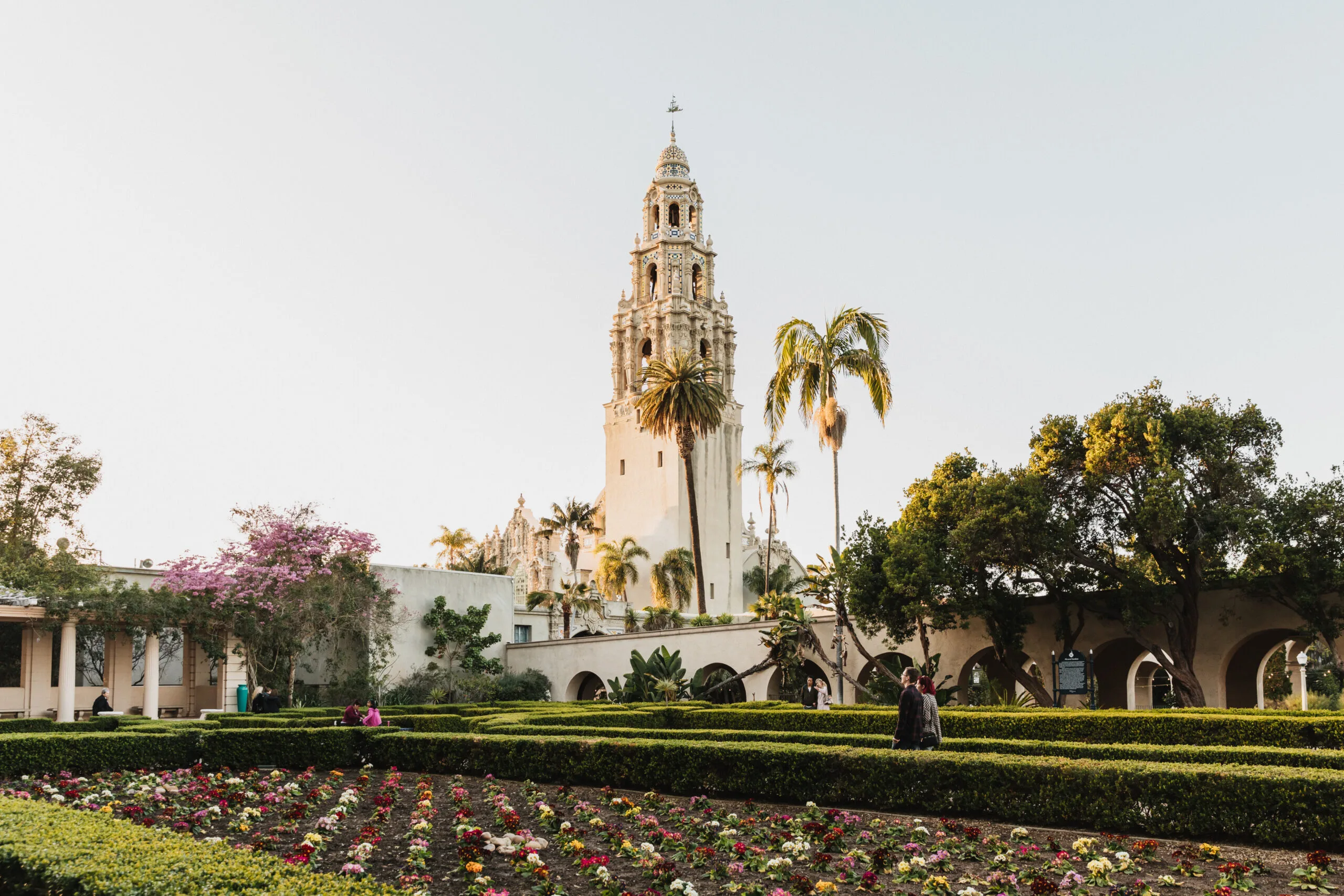 Alcazar garden with rows of flowers and trimmed bushes in the foreground and the California Tower in the background.