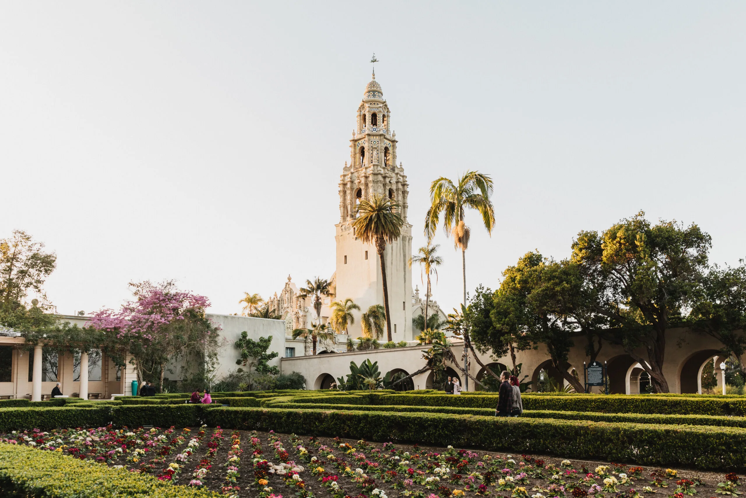 are dogs allowed in balboa park museums