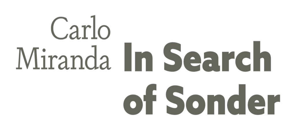 Carlo Miranda In Search of Sonder, written in grey text on a white background