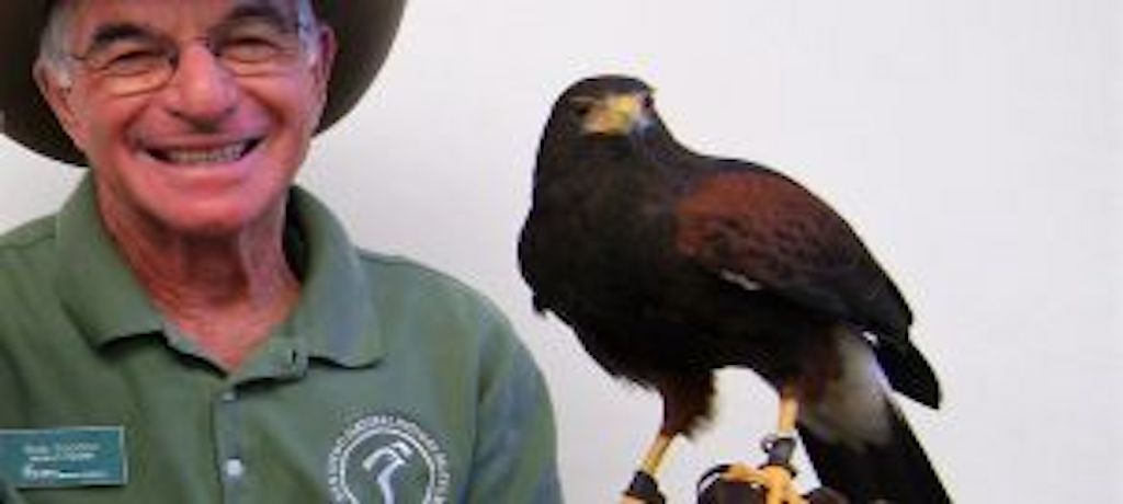 Man with glasses and a hat holding a hawk