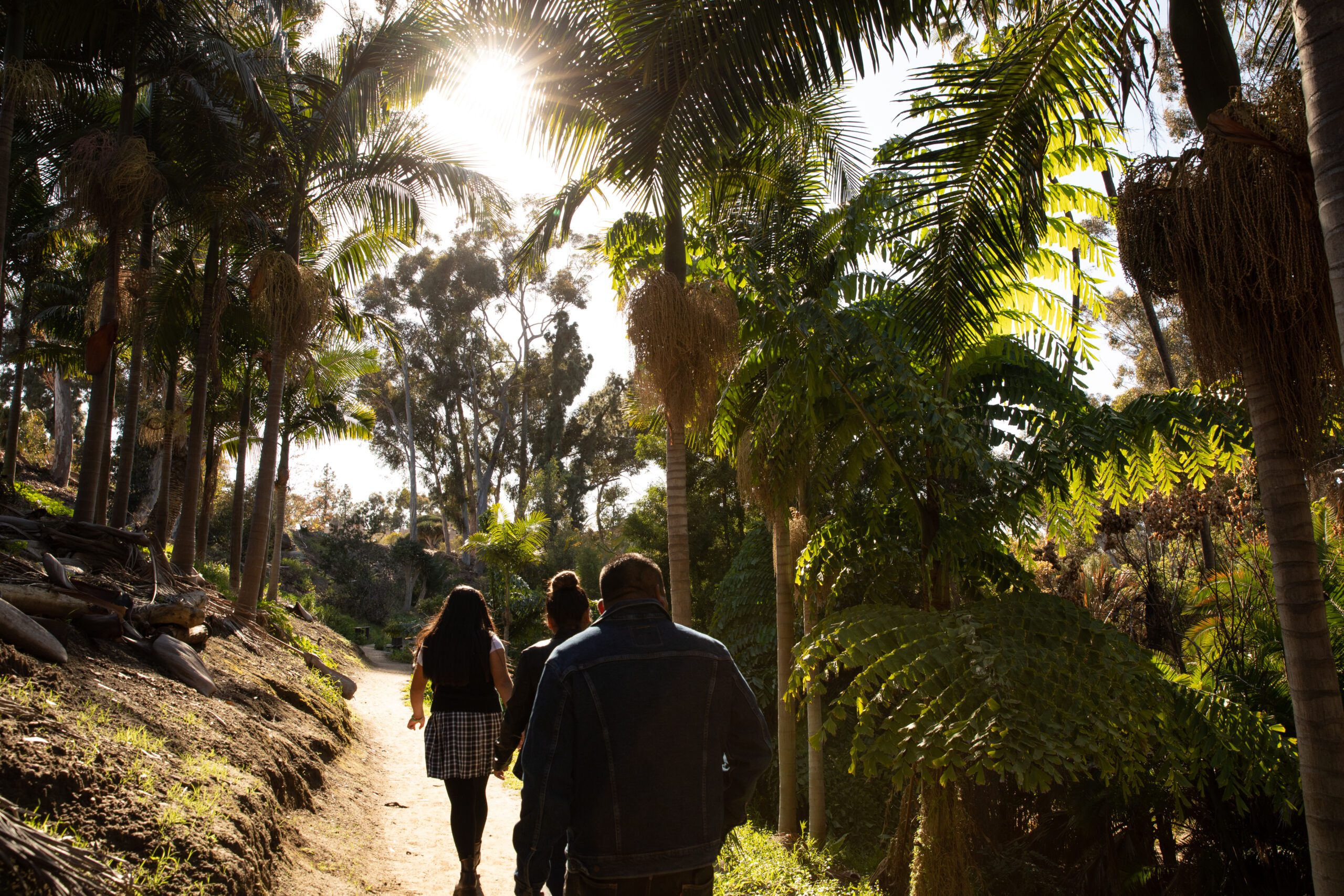 A group of people walking along a dirt path in Palm Canyon in Balboa Park.