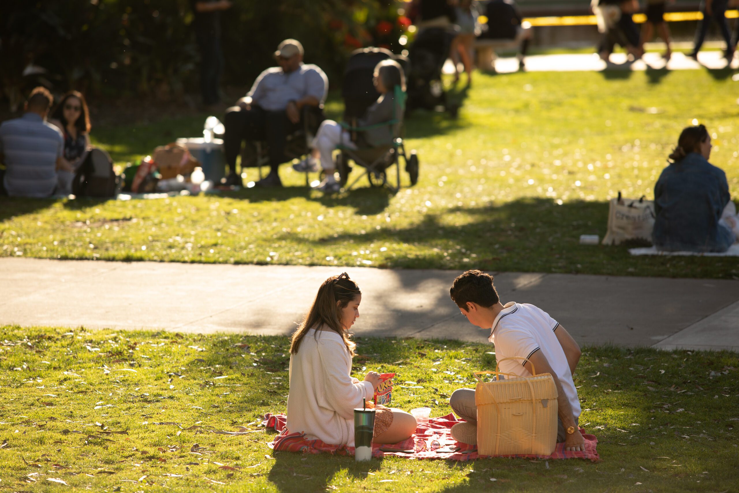 Groups of people sitting on the grass in Balboa Park.