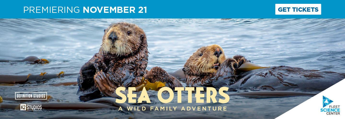 Sea Otters A wild Family Adventure