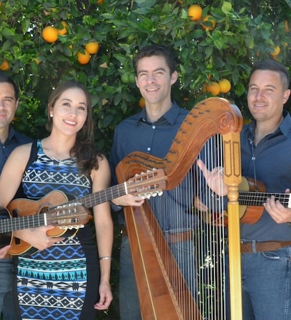 group of people holding guitars and a harp standing in front of a bush