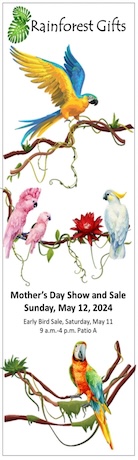 Rainforest Gifts with images of birds on branches