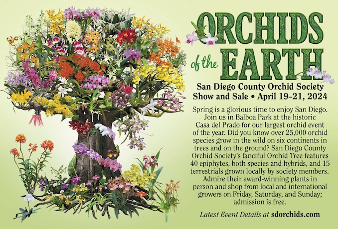 Orchids of the Earth