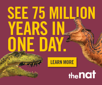 See 75 million years in one day. An orange dinosaur is on one side and a green dinosaur is on the other side