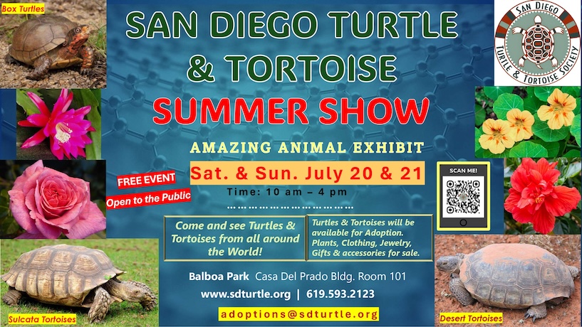 San Diego Turtle and Tortoise summer show poster