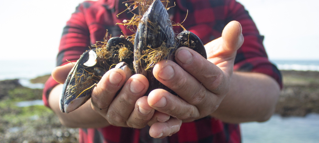 Man holding oysters