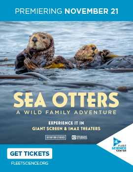 Sea Otter