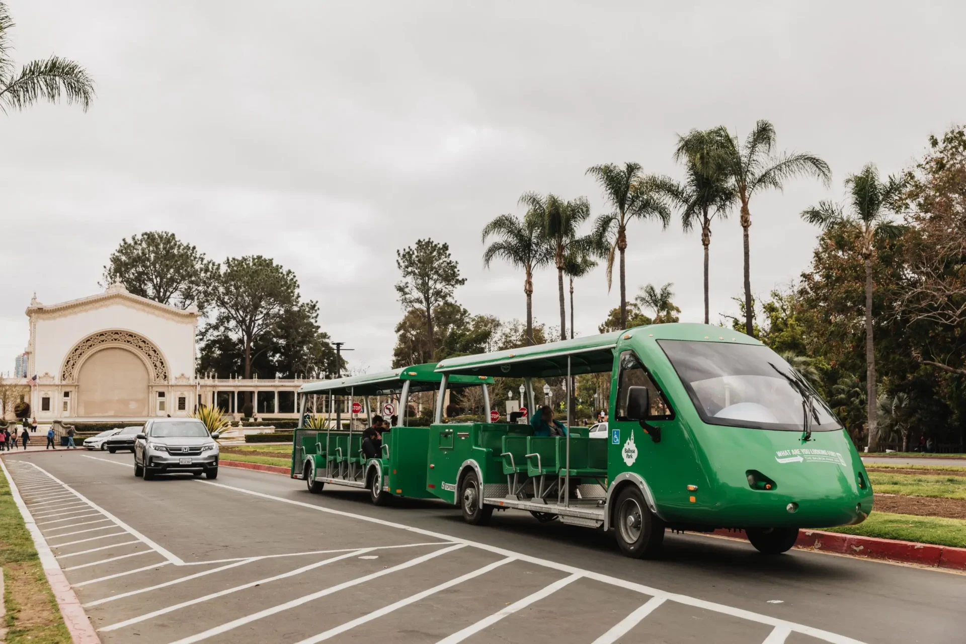 Green tram driving down the street. Palm trees are in the background.