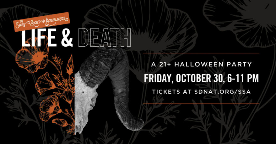 Promotional poster for the Secret Society of Adultologists Halloween Party with life and death theme, scheduled for October 30 at Balboa Park.